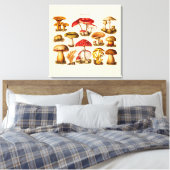 Vintage 1800s Paddenstoelvariëteit Rode paddenstoe Canvas Afdruk (Insitu (Slaapkamer))