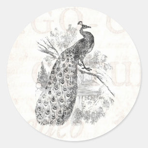 Vintage 1800s Retro Peacock Illustration Sjabloon Ronde Sticker