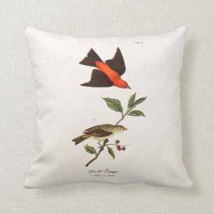 Vintage 1800s Scarlet Tanager Bird Songbird Birds Kussen