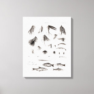 Vintage 1800s Vliegende vliegen Oude haken Canvas Afdruk