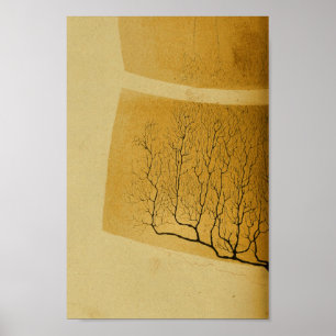 Vintage 1886 Central Nervous System Nerves Poster