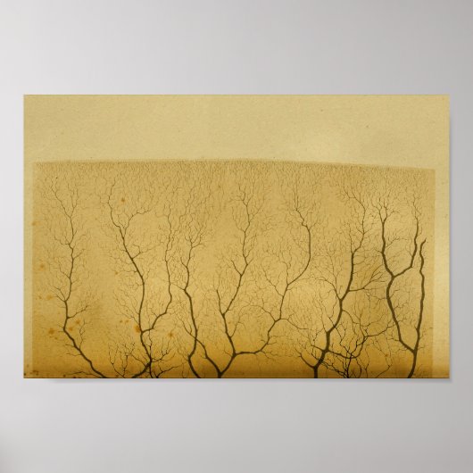 Vintage 1886 Centrale zenuwstelsel Zenuwstelselaan Poster (Voorkant)