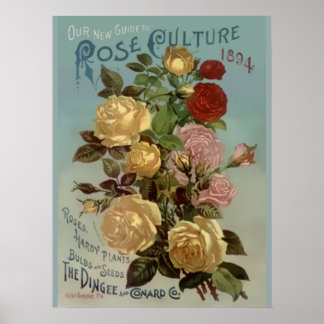 Vintage 1894 Gids voor de Cultuur van het Roos Poster