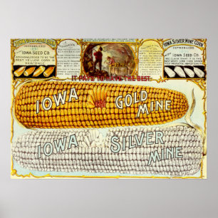 Vintage 1896 Iowa Corn Advertisement Poster