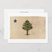 Vintage 1901 Maine Flag Briefkaart (Voorkant / Achterkant)