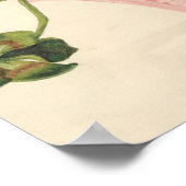 Vintage 1905 Botanical Wall Poster (Hoek)