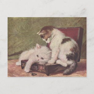 Vintage 1907 Illustratie van het spelen van Kitten Briefkaart