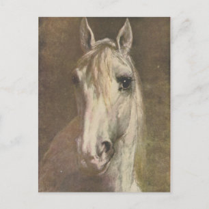 Vintage 1907 Illustratie van het witte paard Briefkaart