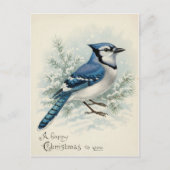 Vintage 1908 Blue Jay Christmas  Briefkaart (Voorkant)