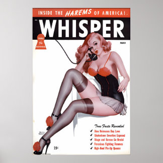 Vintage 1940s Pin Up Girl Poster & Canvas Inside