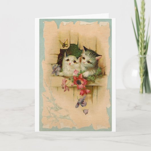 Vintage 2 Cute Kittens Kaart (Voorkant)