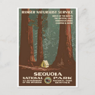 Vintage Ad Poster Briefkaart