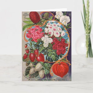 Vintage Ad voor zaadverpakkingen, Kaart