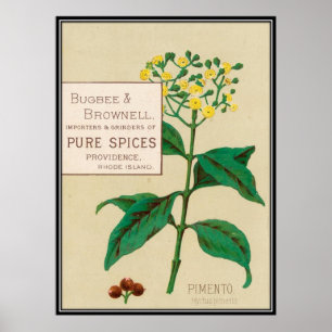 Vintage : adverteren voedsel - poster