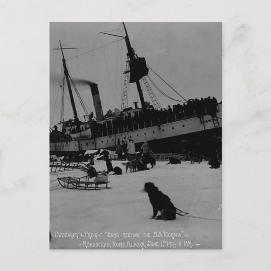 Vintage Alaska Briefkaart (Voorkant)