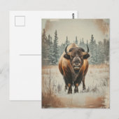 Vintage Amerikanischer Büffel Bison im Winter Briefkaart (Voorkant / Achterkant)