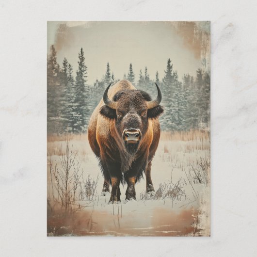 Vintage Amerikanischer Büffel Bison im Winter Briefkaart (Voorkant)