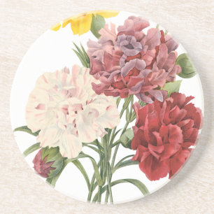 Vintage Anjers Dianthus Tuin Bloemen Redoute Zandsteen Onderzetter