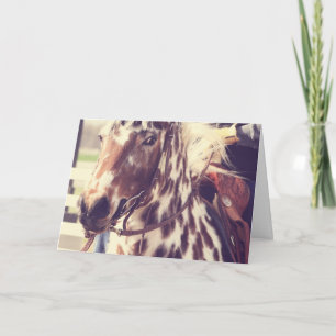 Vintage Appaloosa toont Paard, Verjaardag Kaart