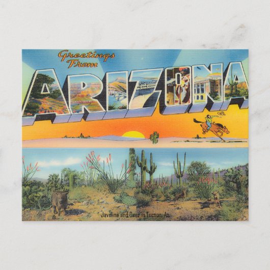Vintage Arizona carte postale Collage (Devant)