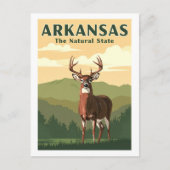 Vintage Arkansas Briefkaart (Voorkant)