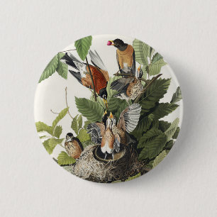 Vintage Audubon Amerikaanse Roodborst Vogel Nest K Ronde Button 5,7 Cm