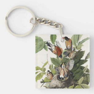 Vintage Audubon Amerikaanse Roodborst Vogelnest Ku Sleutelhanger