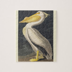 Vintage Audubon Amerikaanse Witte Pelikaan Vogelku Legpuzzel