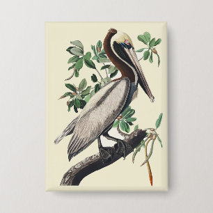 Vintage Audubon bruine pelikaan kustvogel kunst Button