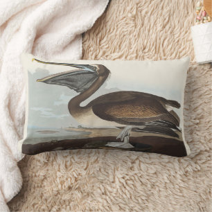 Vintage Audubon bruine pelikaan kustvogel kunst Kussen