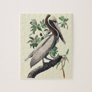 Vintage Audubon bruine pelikaan kustvogel kunst Legpuzzel