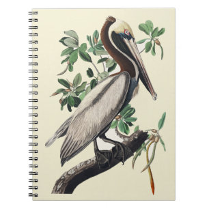 Vintage Audubon bruine pelikaan kustvogel kunst Notitieboek