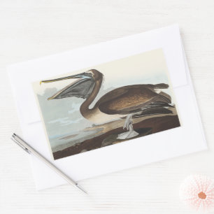 Vintage Audubon bruine pelikaan kustvogel kunst Rechthoekige Sticker