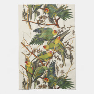 Vintage Audubon Carolina Parkiet Vogel Kunst Theedoek
