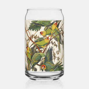 Vintage Audubon Carolina Parkiet Vogelkunst Blikvorm Glas
