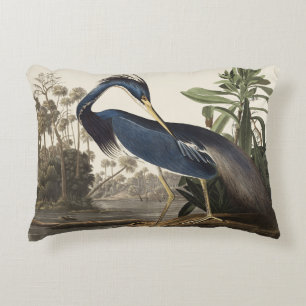 Vintage Audubon Louisiana Reiger Vogelkunst Accent Kussen