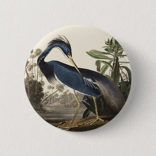 Vintage Audubon Louisiana Reiger Vogelkunst Ronde Button 5,7 Cm
