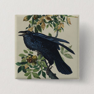 Vintage Audubon Raaf Vogel Natuur Kunst Vierkante Button 5,1 Cm
