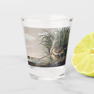 Vintage Audubon-wandsnavel Snijder vogelkunst Shot Glas