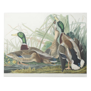 Vintage Audubon Wilde Eend Natuur Kunst Notitieblok