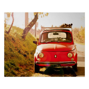 Vintage-auto Perfect Poster   Fiat 500   Rome Ital