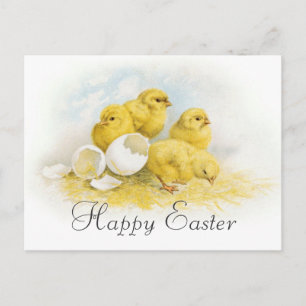 Vintage Baby Chickens Feestdagenkaart