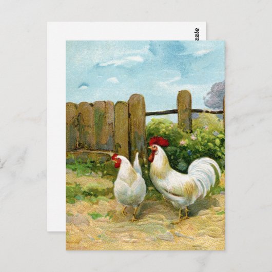 Vintage Barnyard Scene Briefkaart (Voorkant / Achterkant)