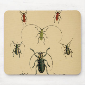 Vintage Beetle Mousepad Muismat
