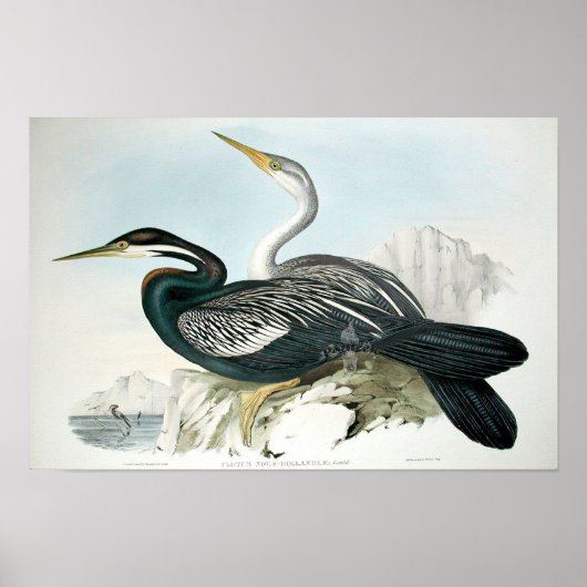 Vintage Bird Art Poster (Voorkant)