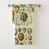 Vintage Bird Eggs French Fish Egg (En situation)