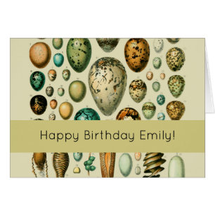 Vintage Bird Eggs French Fish Egg