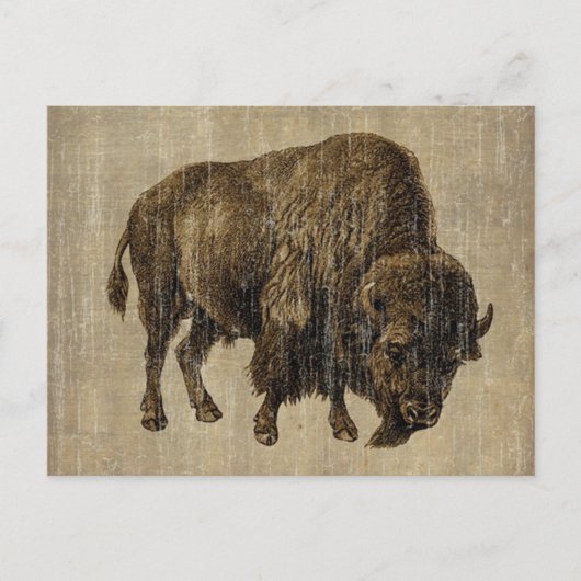 Vintage Bison Briefkaart (Voorkant)