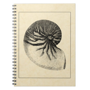 Vintage Black and White Conch Shell Notitieboek