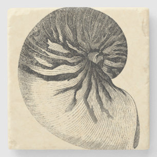 Vintage Black and White Conch Shell Stenen Onderzetter